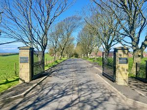 Photo 3- click for photo gallery